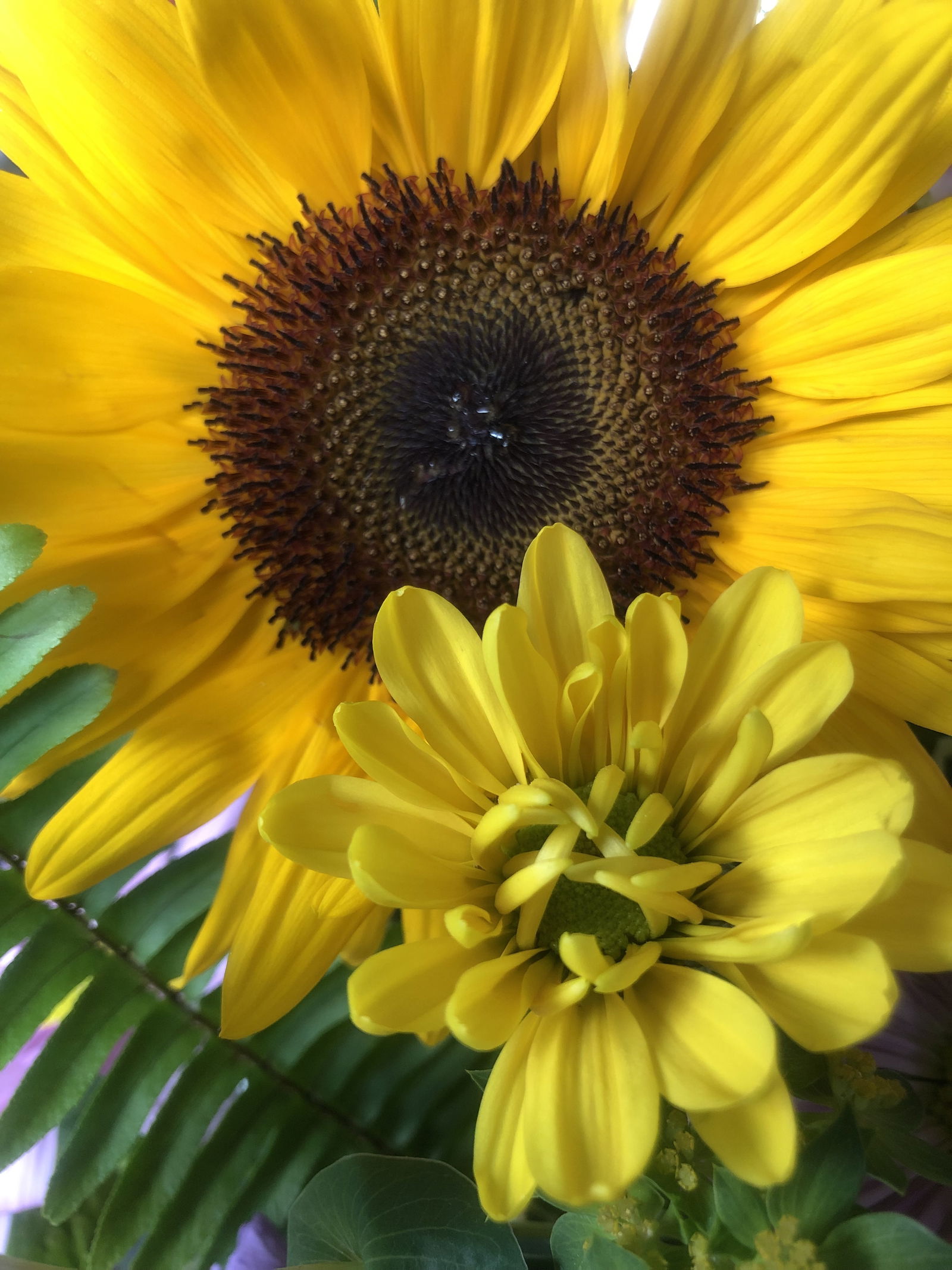 digitalprincxss photo