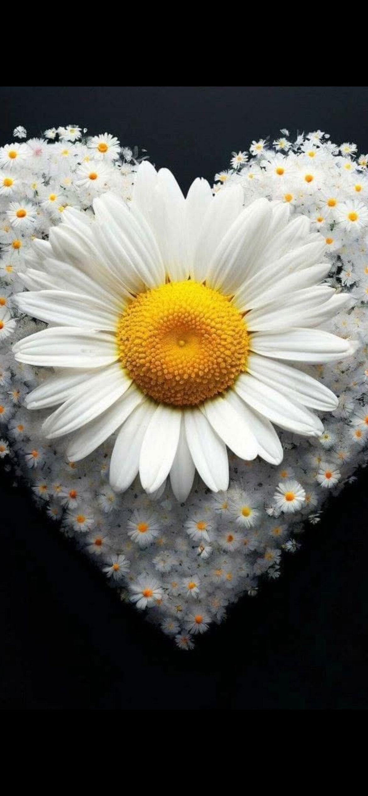 Samantha Grace photo