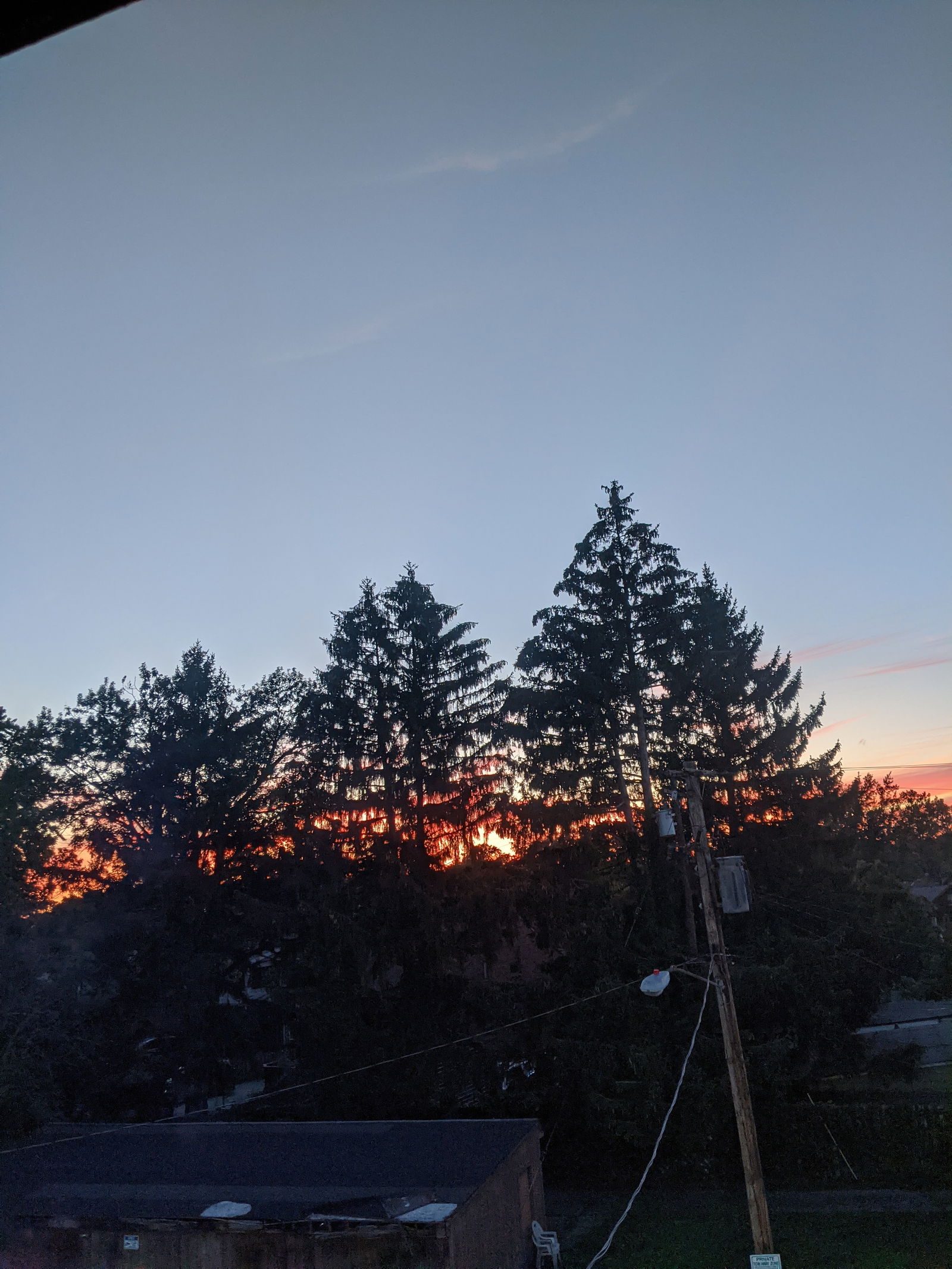 Blueeyednerd71 photo