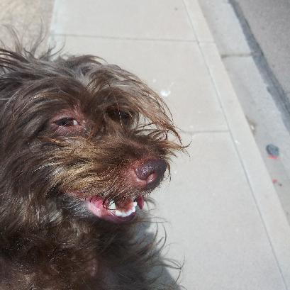 Phoenixbbwslayer photo