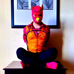 Erotic Dungeon Fetish Model Pup Kona