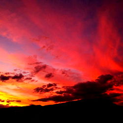 alexandrathegreat photo