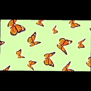 โก ๐๐พ๐ป๐ป๐ถ๐๐ ๐ฝ๐พ๐๐๐ โก photo