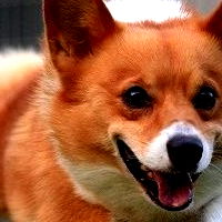 Summer Horror Party photo