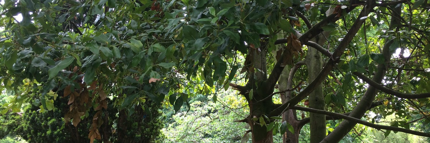 Curt’s Acting Naughty photo