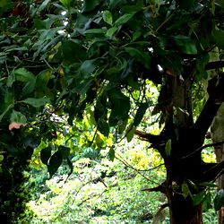 Curt’s Acting Naughty photo