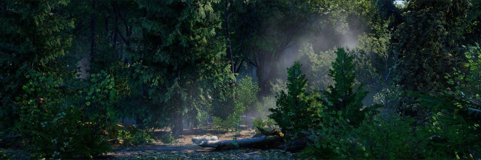 Dick Down ViVi photo