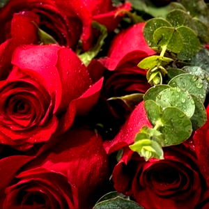 Goddess Alexandra photo