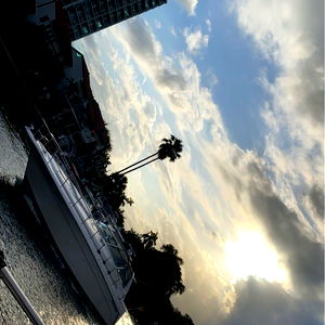 Annalise Anderson photo