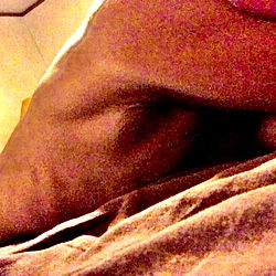 Your girls guilty pleasures 😏 photo