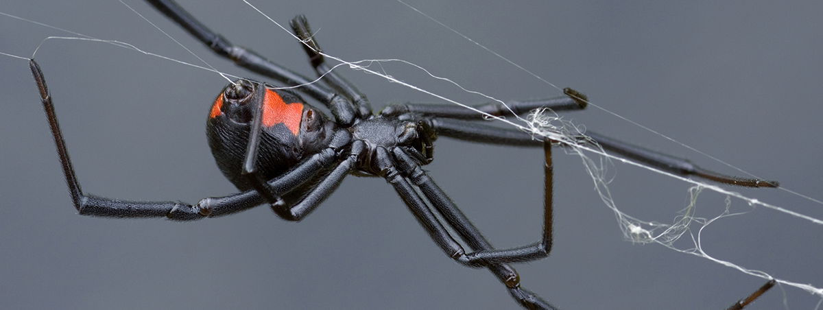 Abigail Trainwreck photo