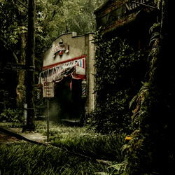 ๐ฒ โข ๐ฐ Bunny Boy ๐ฐ โข๐ฒ HE/THEY photo