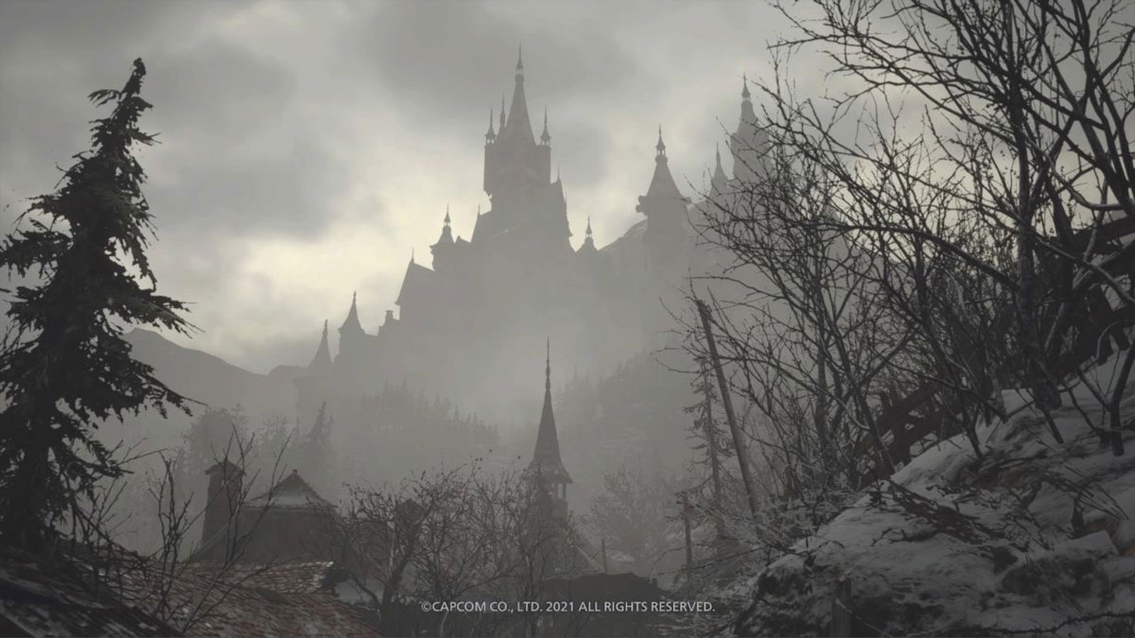 🌲 • 🐰 Bunny Boy 🐰 •🌲 HE/THEY photo