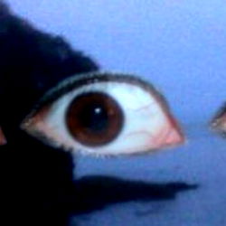 Model Bailey Jay from Florida