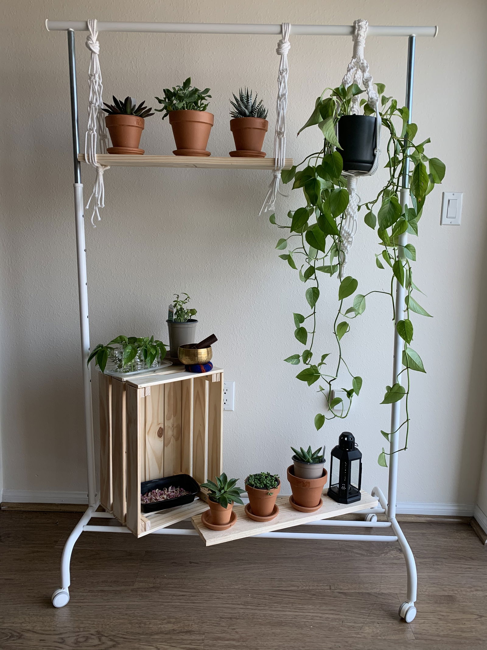 Aich 🪴👨🏽‍⚕️🎶✨ ♈️ photo