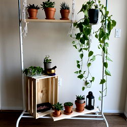 Aich ๐ชด๐จ๐ฝโโ๏ธ๐ถโจ โ๏ธ photo