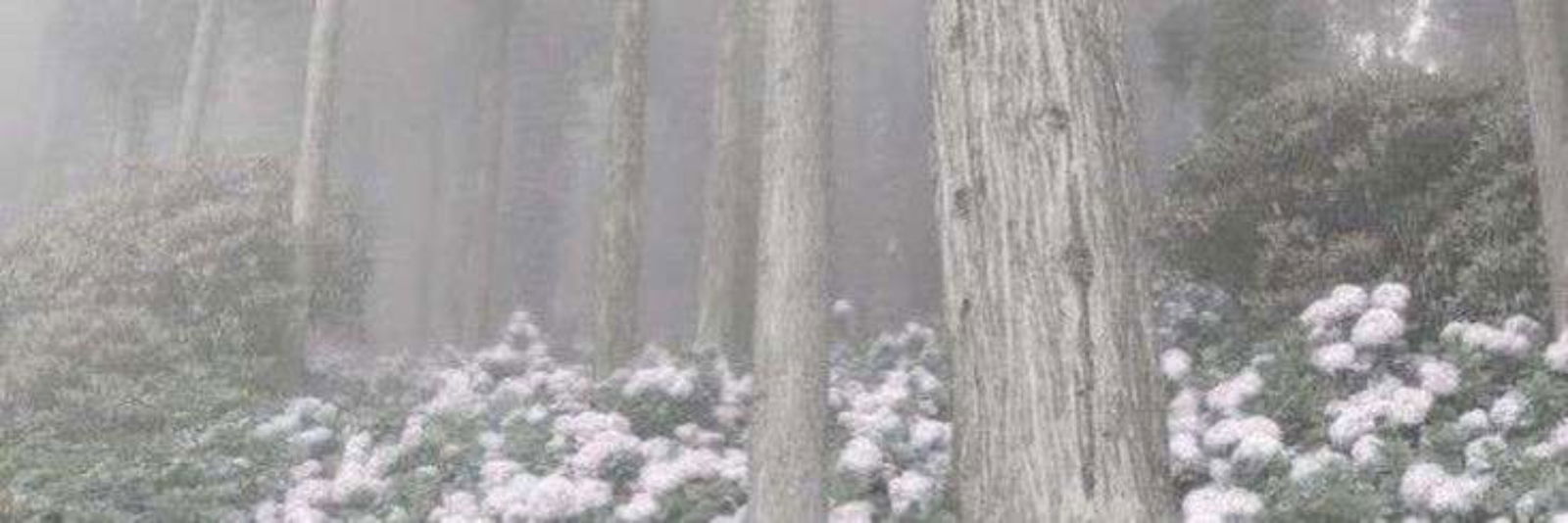 𝑬𝒔𝒕𝒉𝒆𝒓 𝑫𝒐𝒍𝒍 ♡ photo