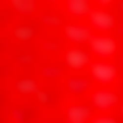 Miss Elizabeth Anne VIP photo