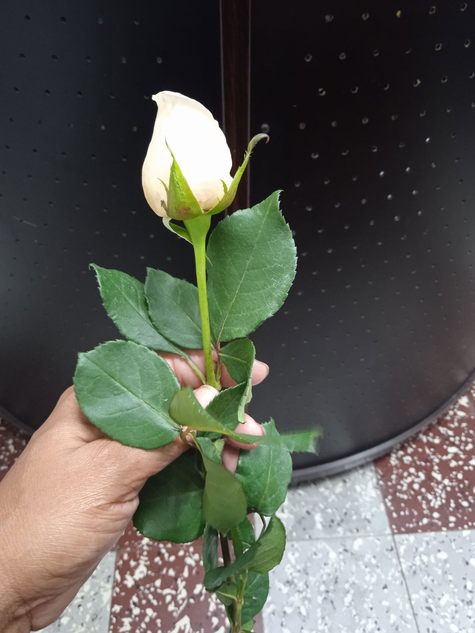 Glennys Santos photo