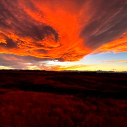 Drake Stone ~ I Am ALPHAโฆHear Me Roar! photo