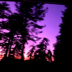 โจ allie โจ photo