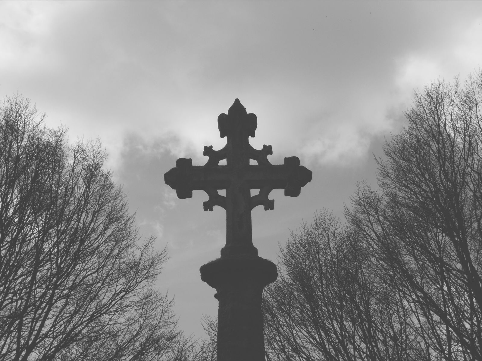 ⛓️𝕬𝖁𝕬⛓ photo