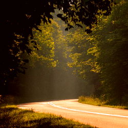 Beautiful Scenery on a Sunny Day