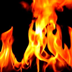 🔥 Mistress Venus 🔥 photo