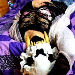 Smol Panda Model from Colorado