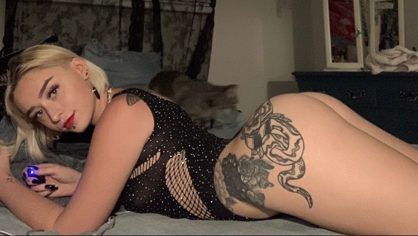 Kya 🧚‍♀️ photo