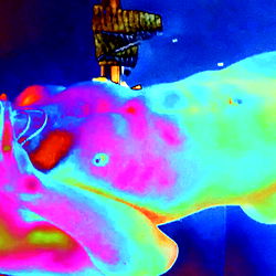 AQXRXUS โ๏ธ ๐ฆ photo