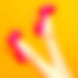 Karen Jaramillo ๐๐๐ photo