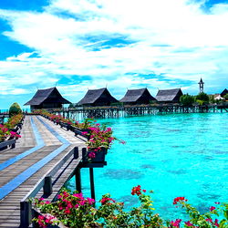 Vibrant Beachside Walkway with Potted Plants and Water View