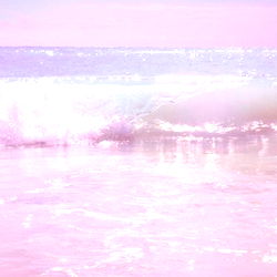 Addie ๐ท๐ฝ photo