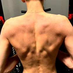 Strong and Athletic Model in Gym