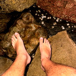 A Barefoot Foot Peering Over a Rocky Shoreline