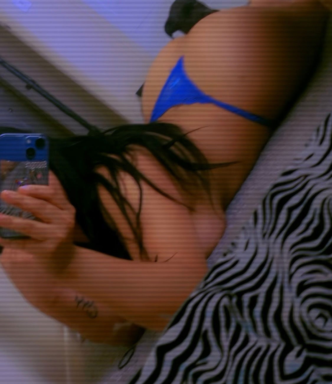 Alicia doradea photo