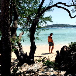 Beachside Solitude at Paradise Bay