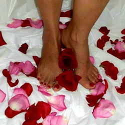 Roses Spread on Floor by Feet
