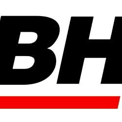 Big Hitter Fitness Model