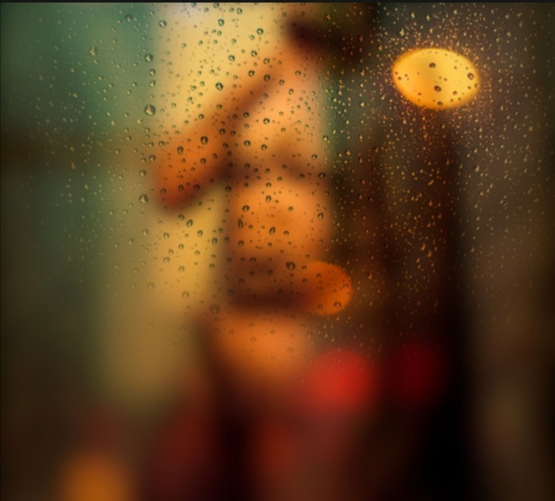 alfonsin sesos photo