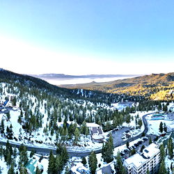 An Otter ๐ฆฆ photo