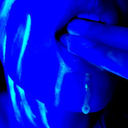 Urban Jungle Safari: A Thrilling City Adventure