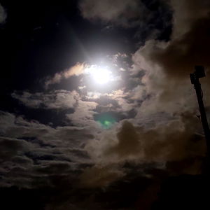 Be my friend, Siera photo