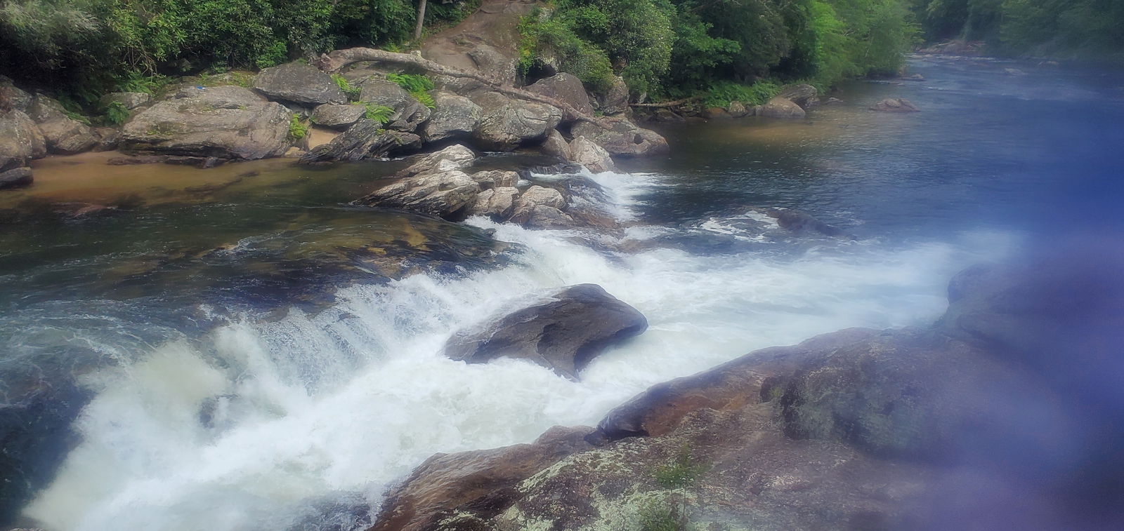 Anthony Rivera photo