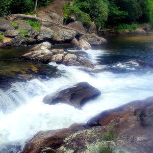 Anthony Rivera photo