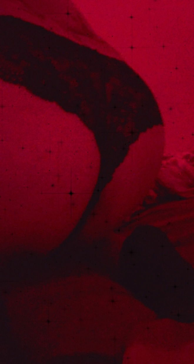 Satan's Mistress photo