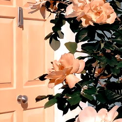 Aesthetic Home Decor With Pink Flowers