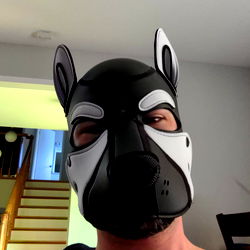 Sassy Dog Mask on Face