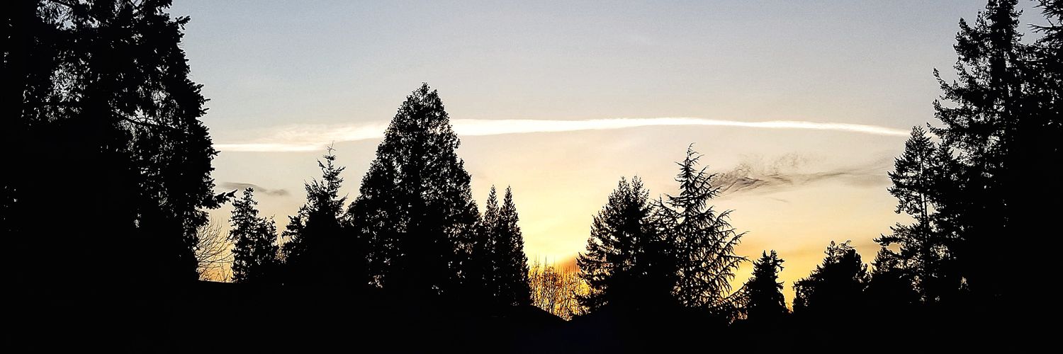 🌿~Olive~🌿 (analgirlforever) photo